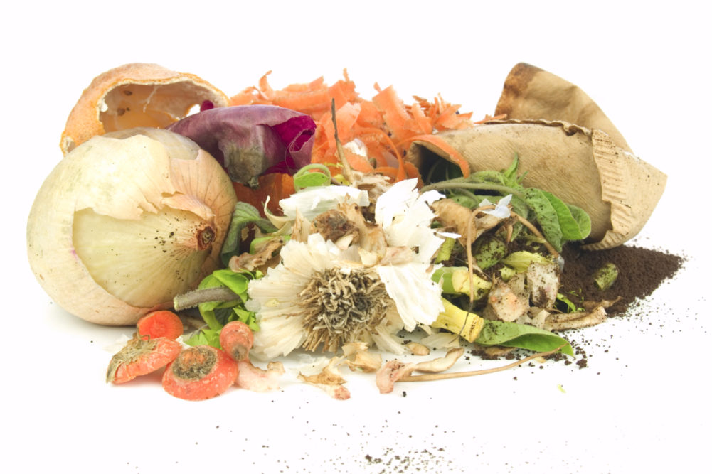 Food waste for composting