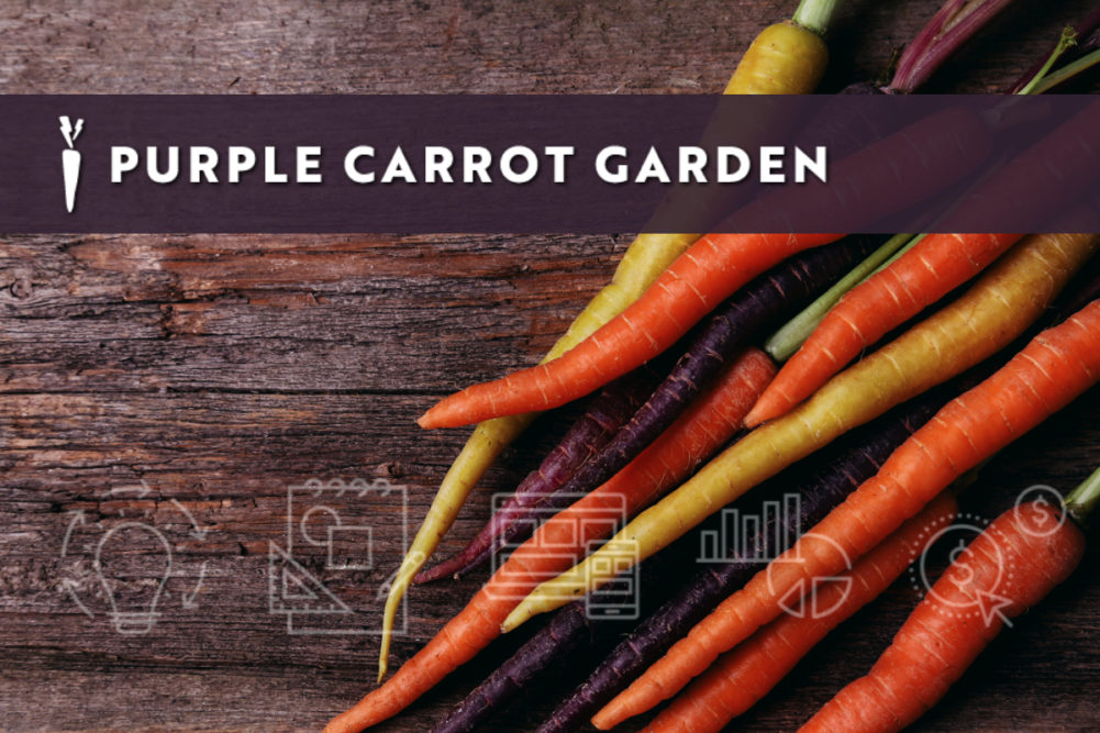 Purple Carrot Garden Incubator