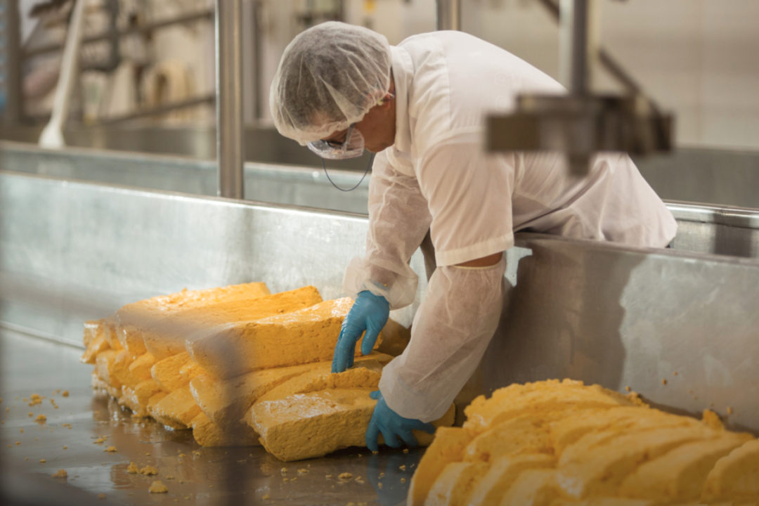 Dairy Farmers of America cheese production