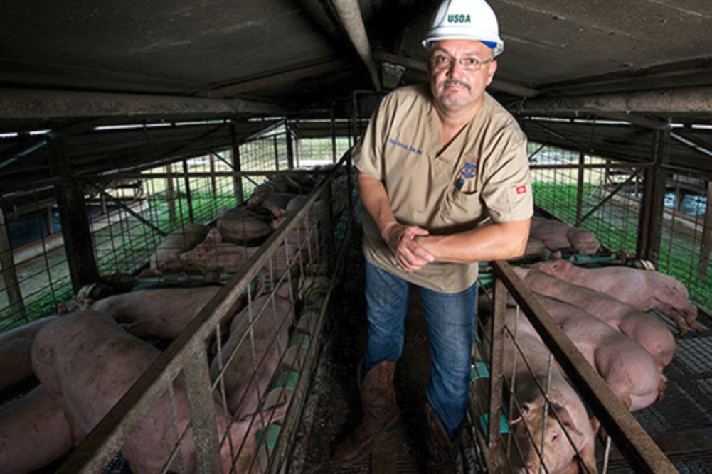 USDA FSIS pork inspector