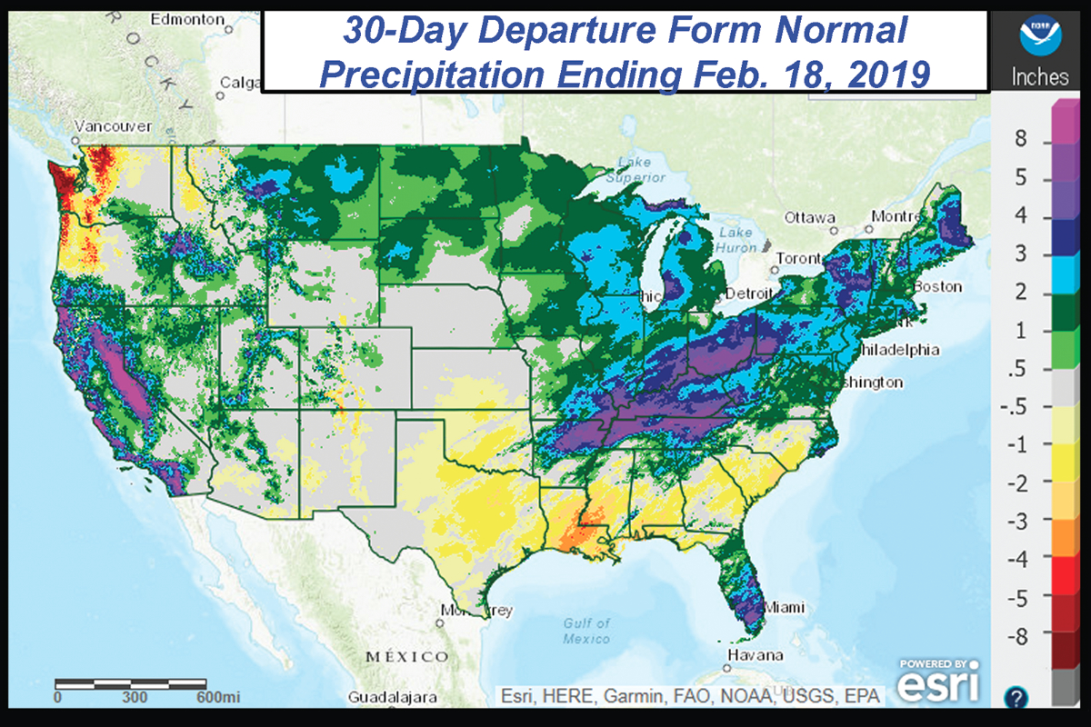 Active weather pattern set to continue in the United States | 2019-02
