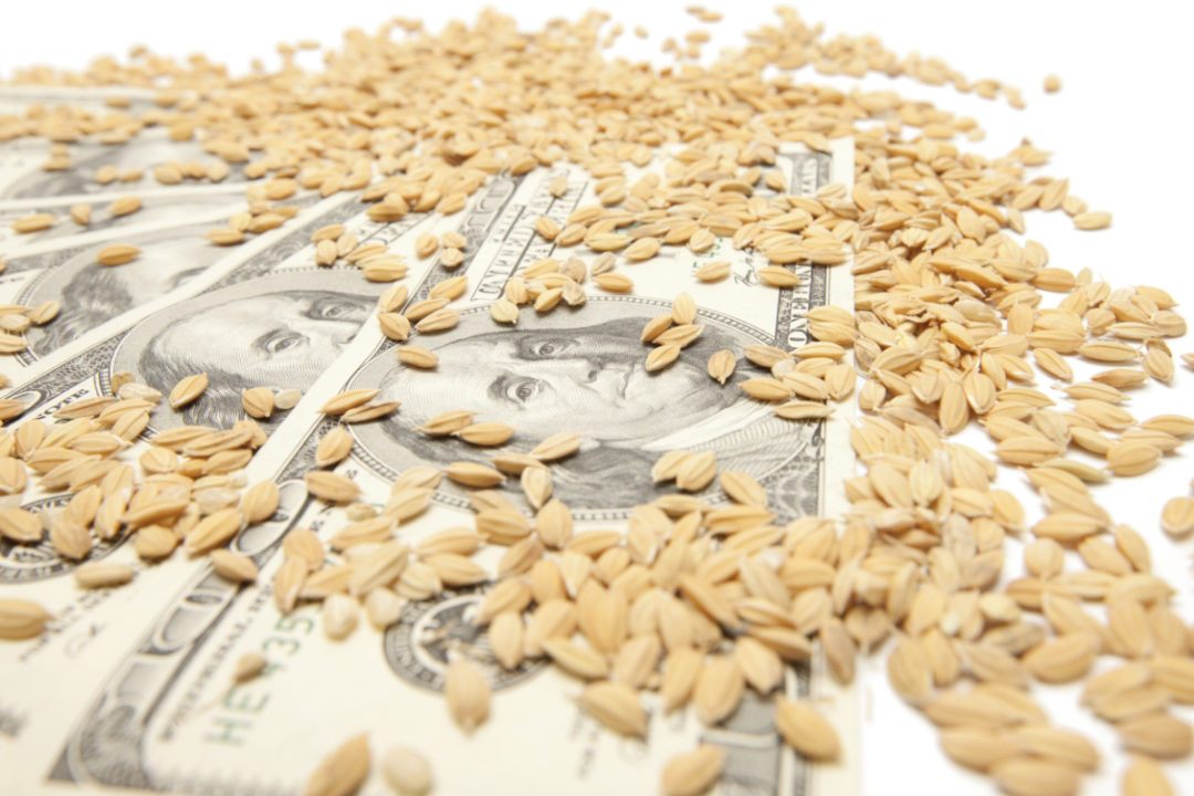 Wheat and money