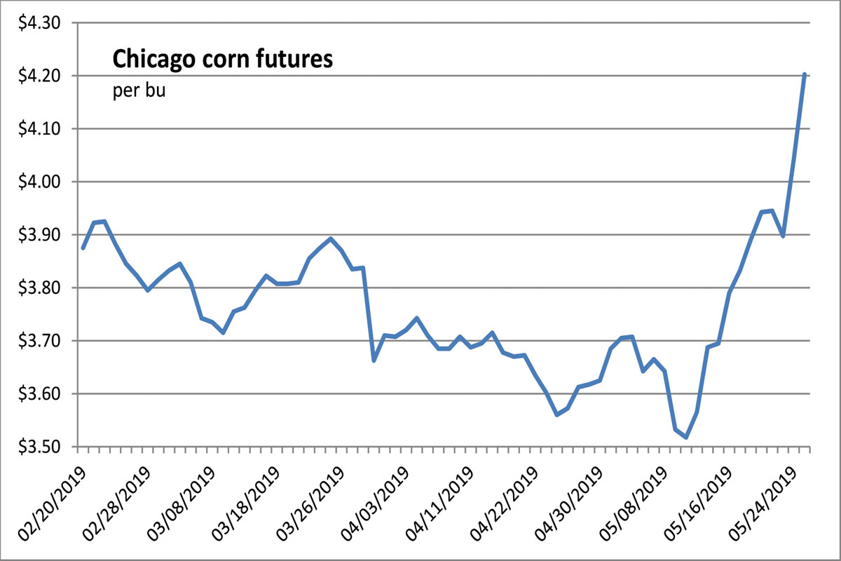 Wheat Futures Chart