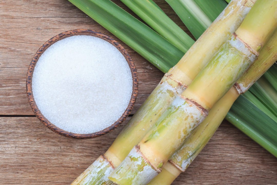 Sugar cane with white refined sugar