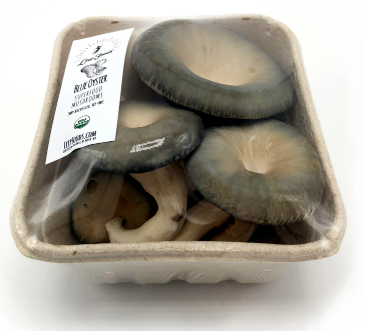 Leep Foods blue oyster mushrooms