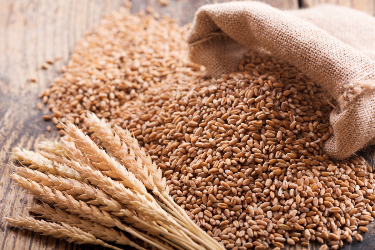 U.S. organic wheat, soybean prices dip in April-May | 2019-06-18 | Food Business News