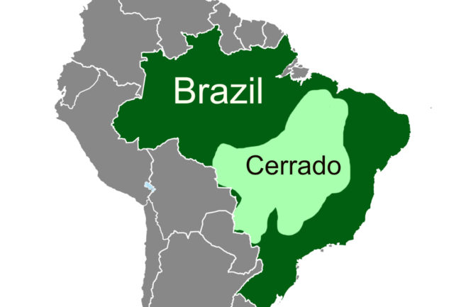 map of Brazil with the Cerrado region highlighted