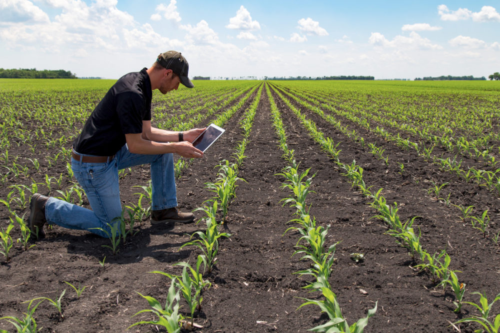 Farmer using tablet in field for sustainable agriculture