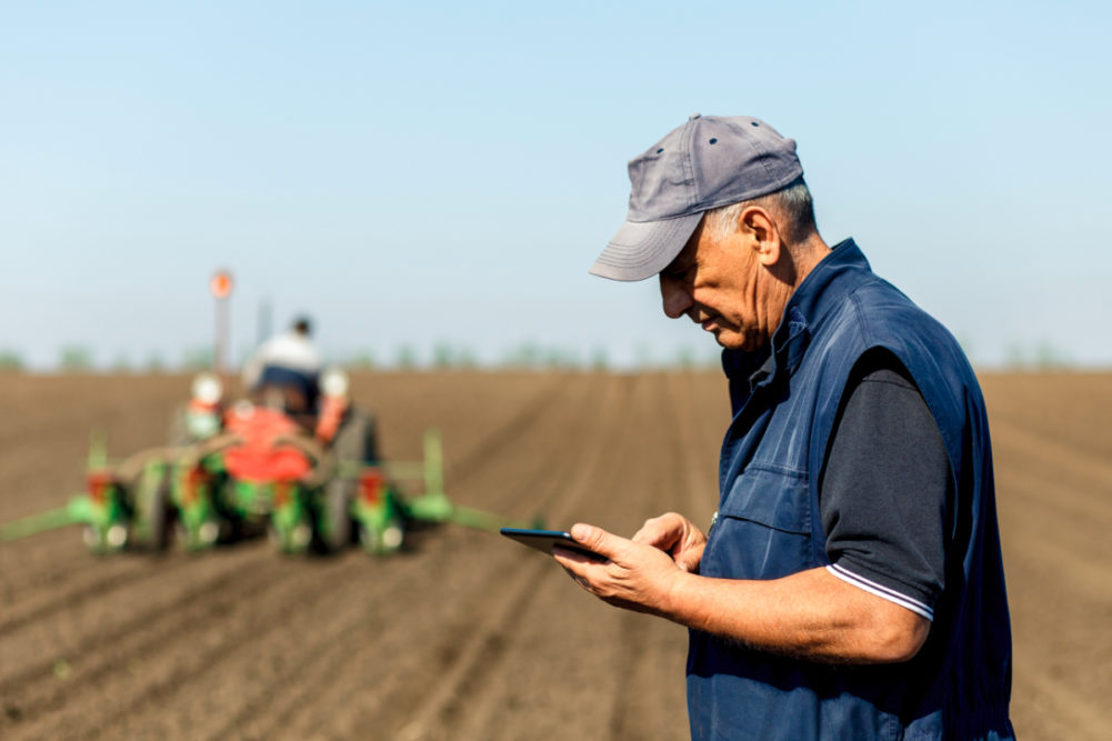 Concerned farmer using tablet