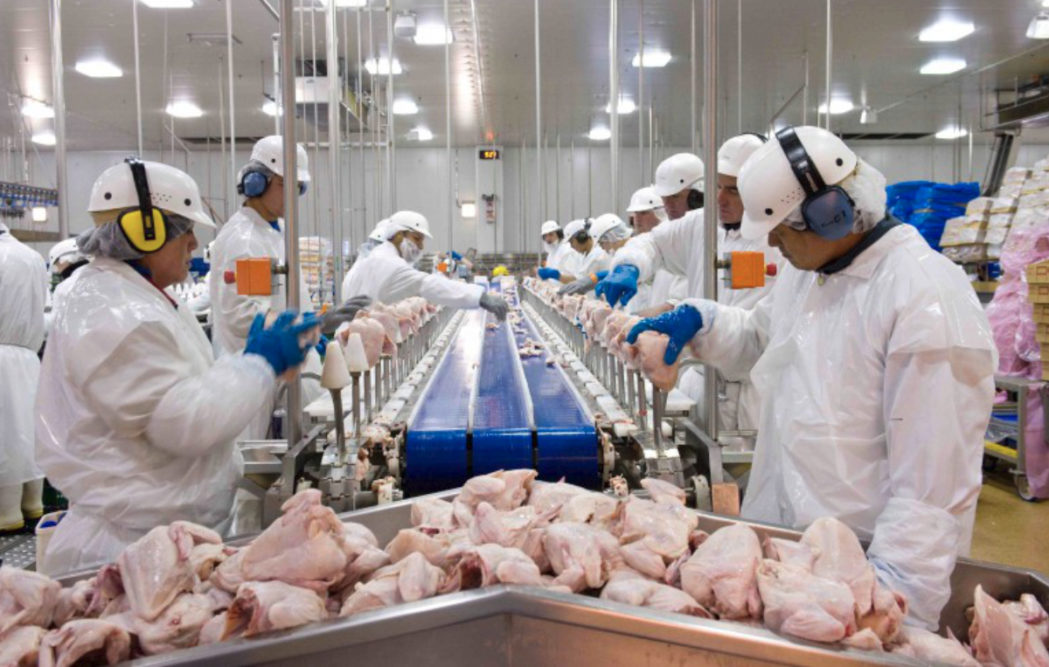 Tyson Foods poultry processing plant line