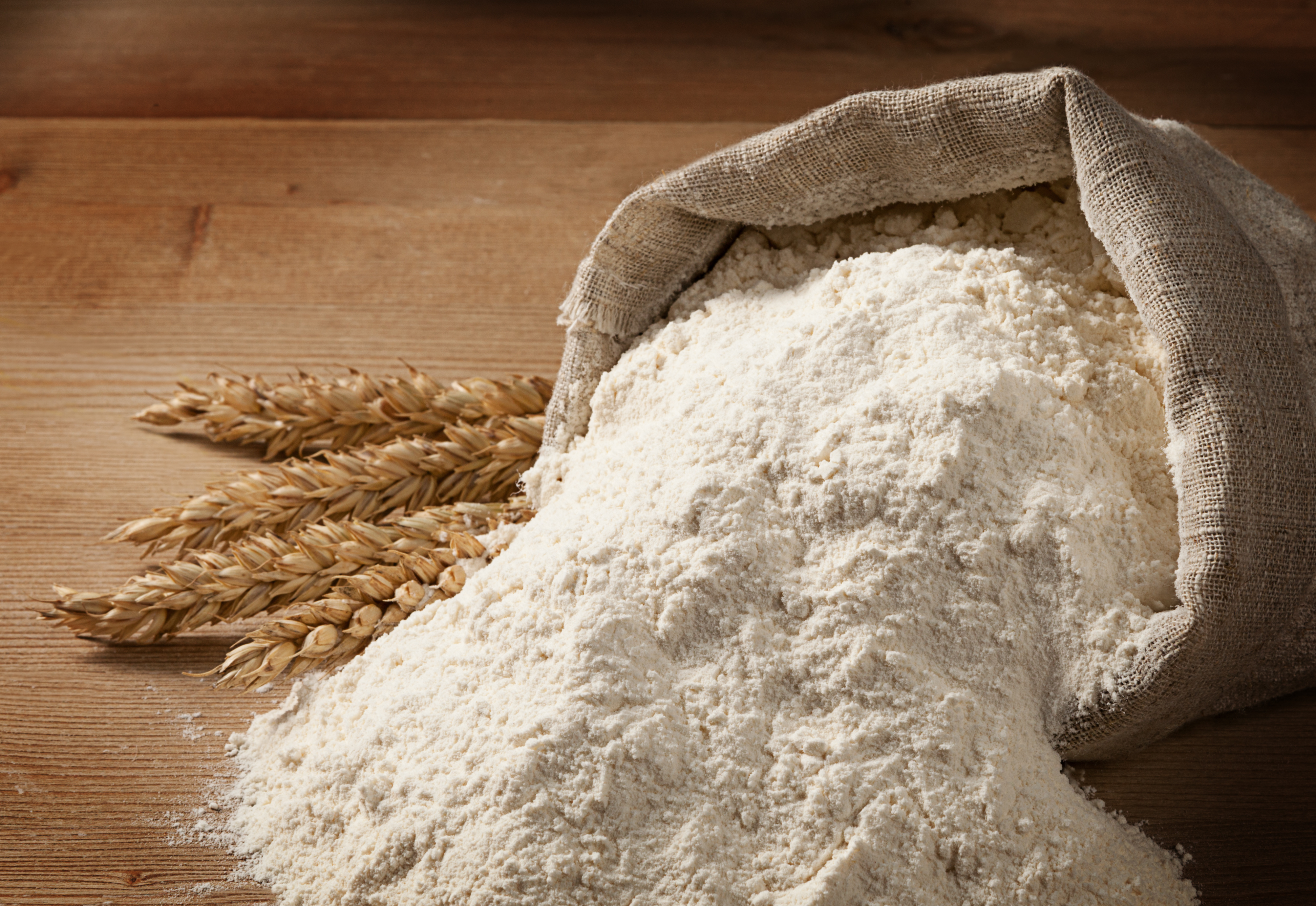 wheat flour