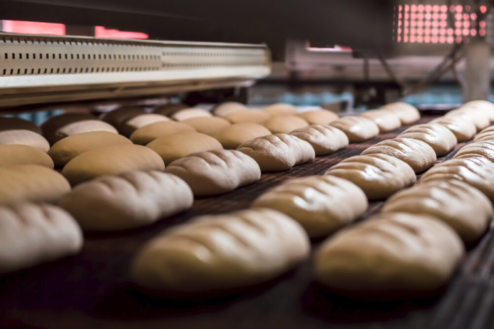 Bread production line