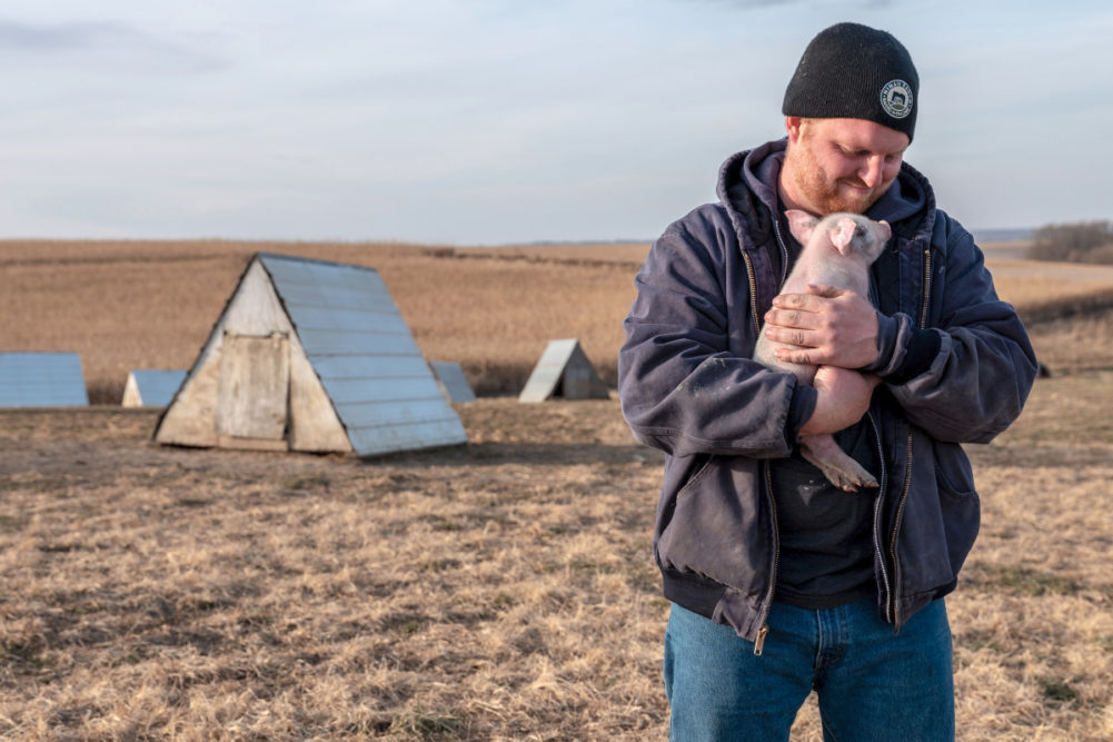 Niman Ranch farmer holding piglet
