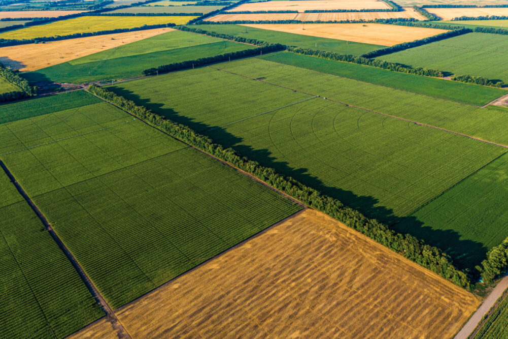 Farmland