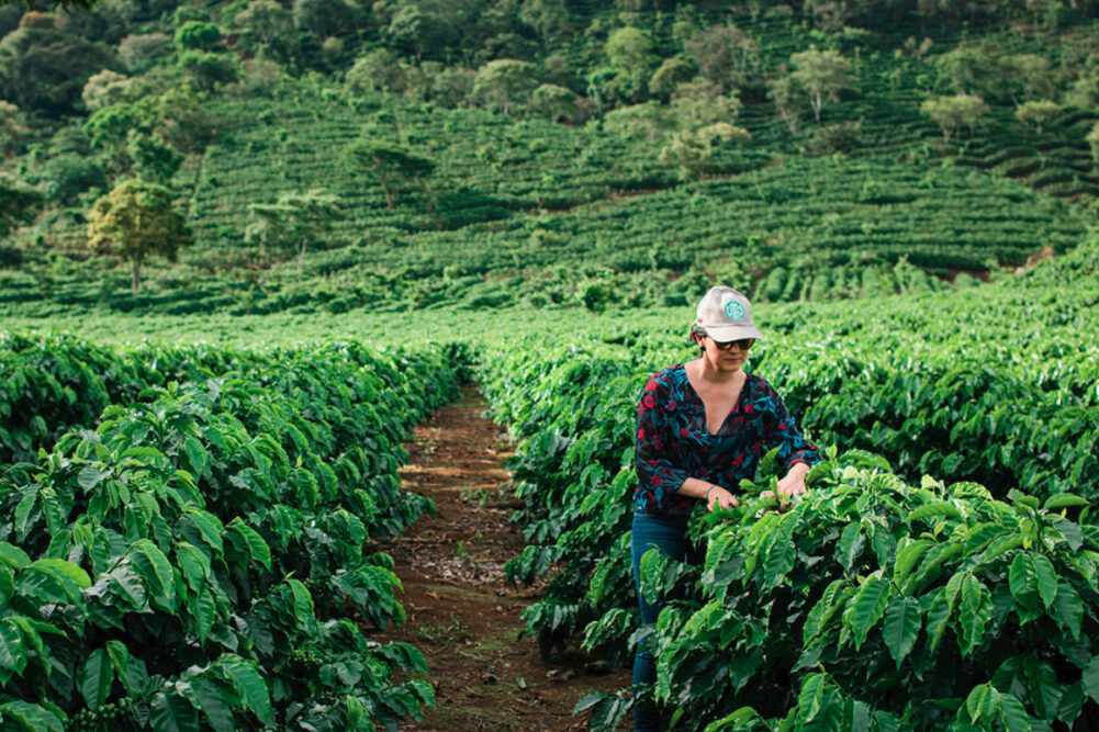 Starbucks sustainable farmer