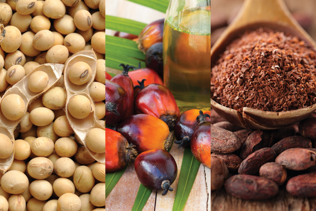 Soybeans, palm oil and cocoa