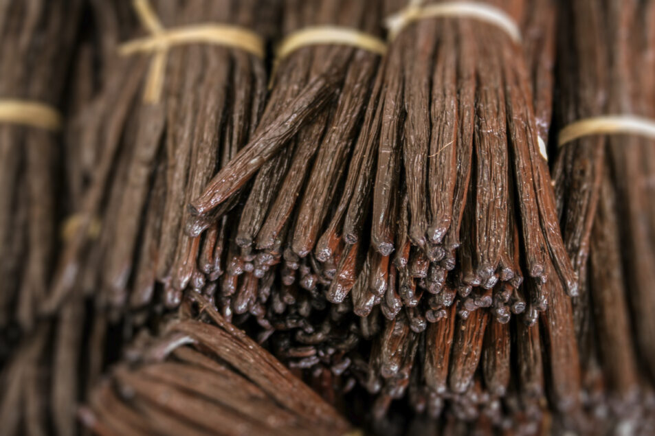 Madagascar Vanilla Prices Could Have Buyers Searching Elsewhere 11 25 Food Business News Madagascar Vanilla Prices Could Have Buyers Searching Elsewhere 11 25 Food Business News
