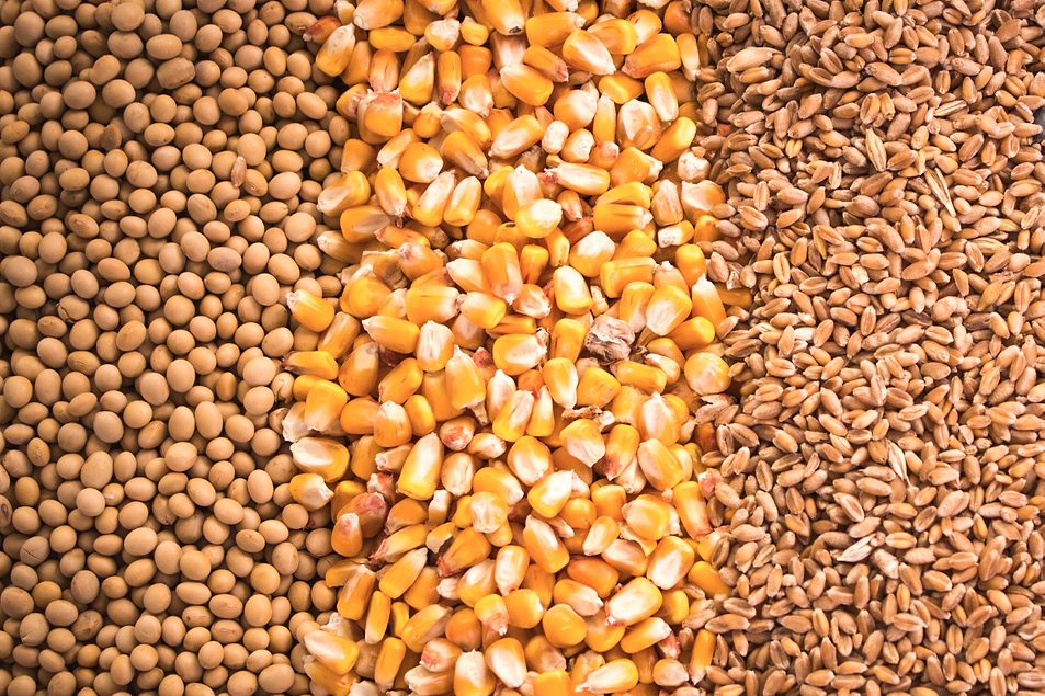 Bullish USDA reports send futures prices up sharply 2021