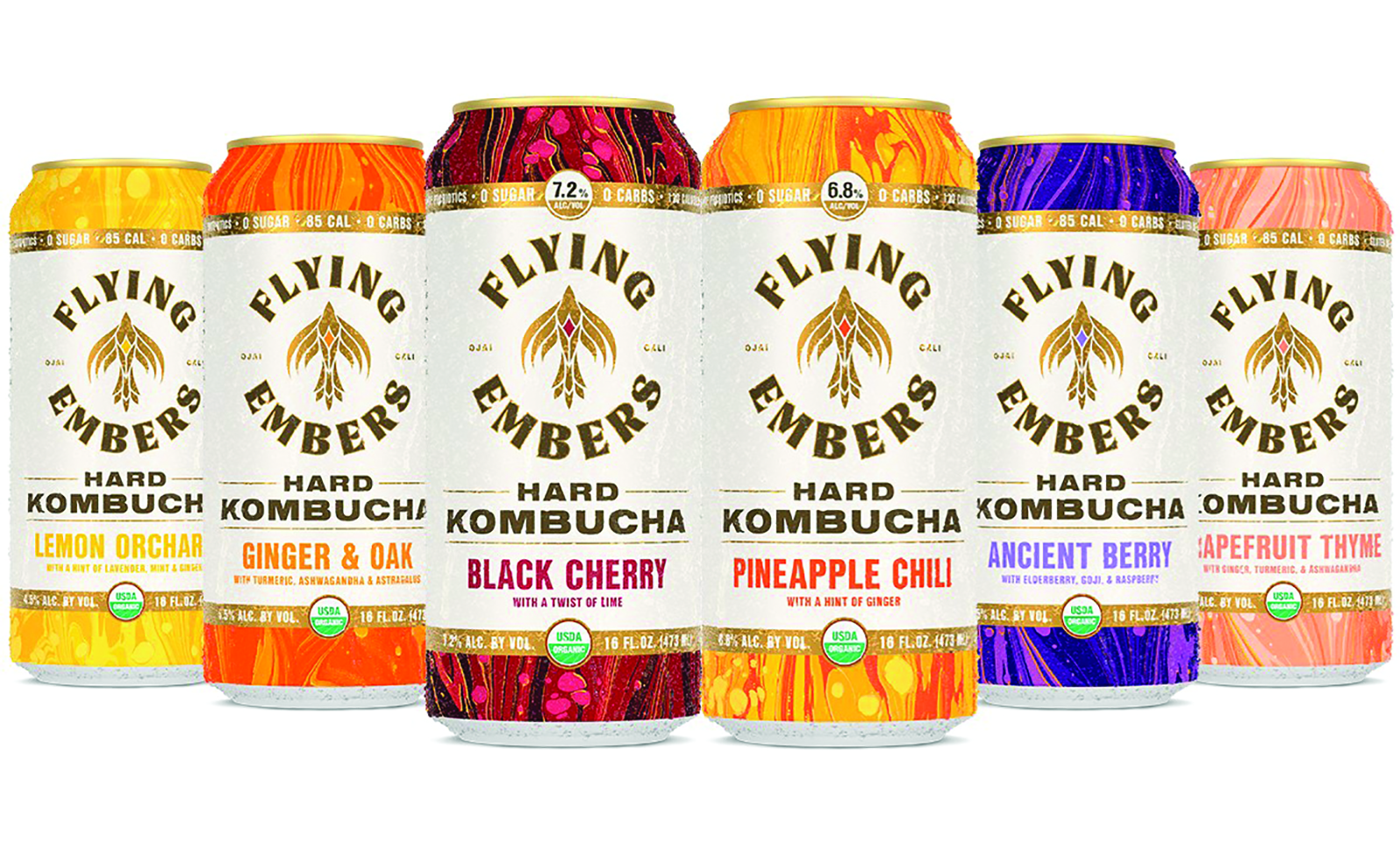 Flying Embers Hard Kombucha