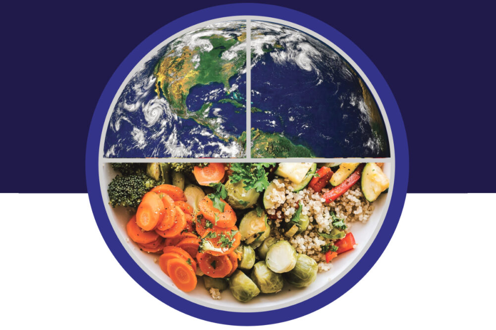 Eats Extra Food Globe Edition