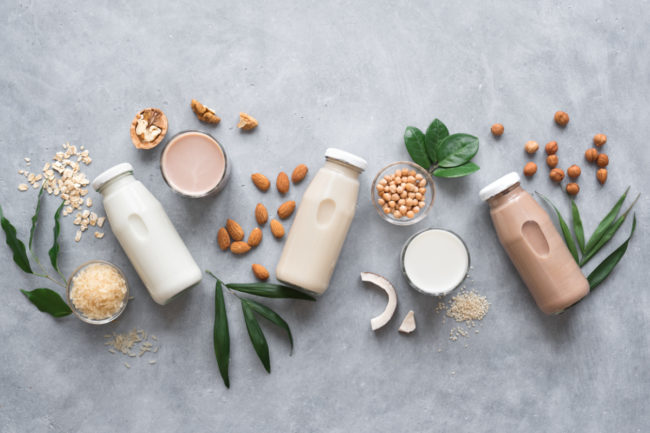 Plant protein formulations
