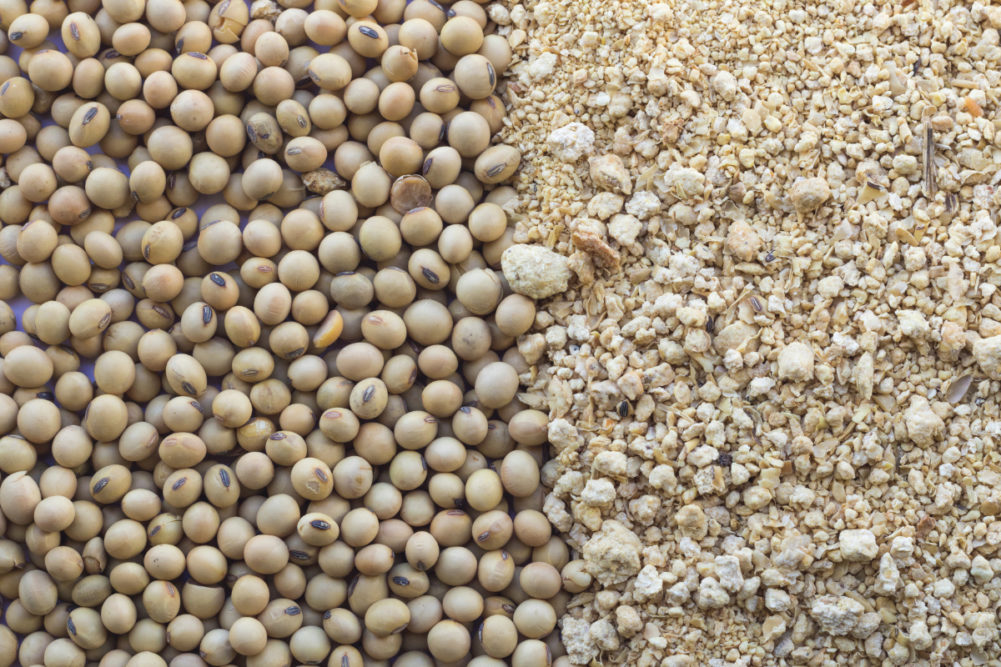 Soybeans and soymeal