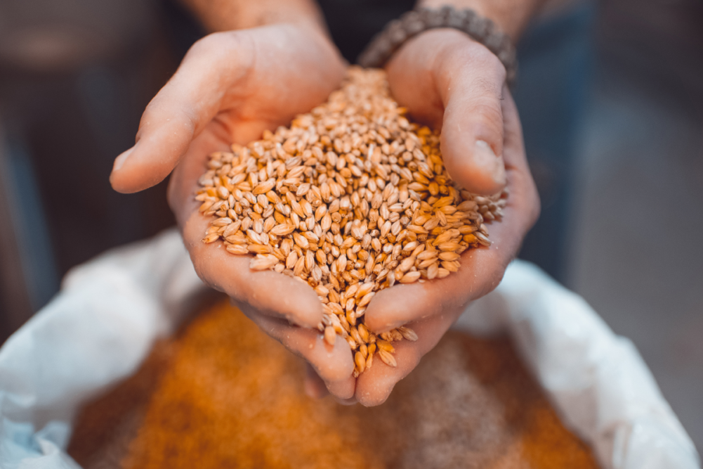 comet bio brewers' grain upcycled ingredient technology