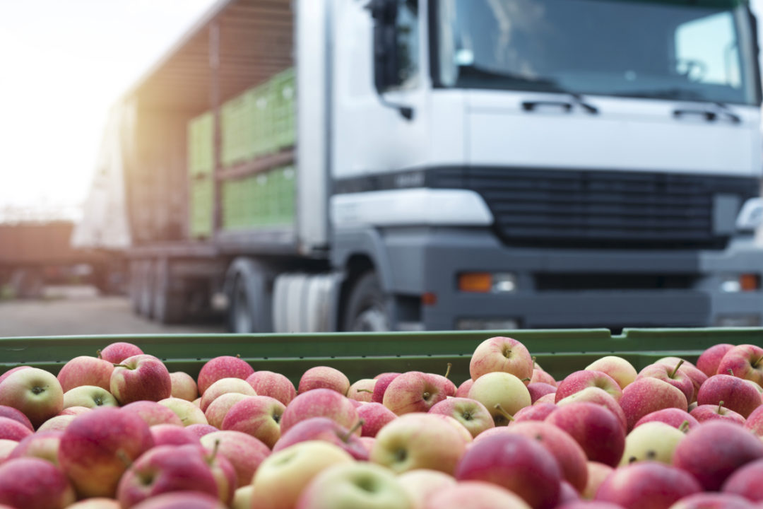 Food distribution apple truck