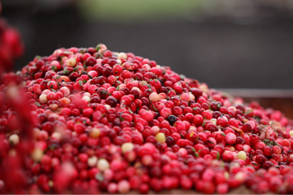 Fruit D'Or cranberries