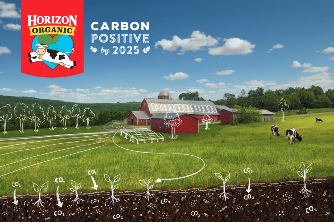 Horizon Organic carbon positive