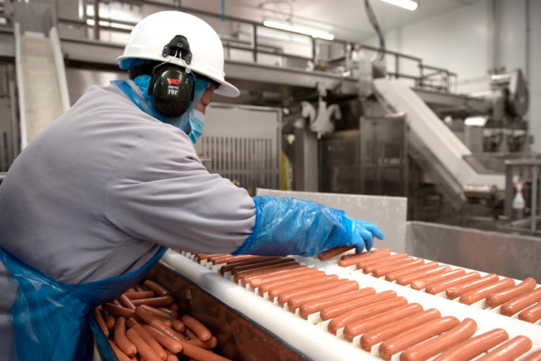Maple Leaf Foods hot dog manufacturing line and worker