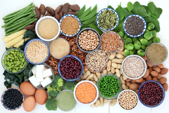 plant proteins for meat alternatives