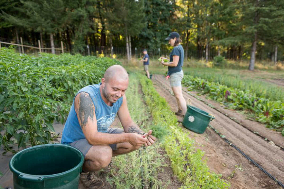 American Farmland Trust