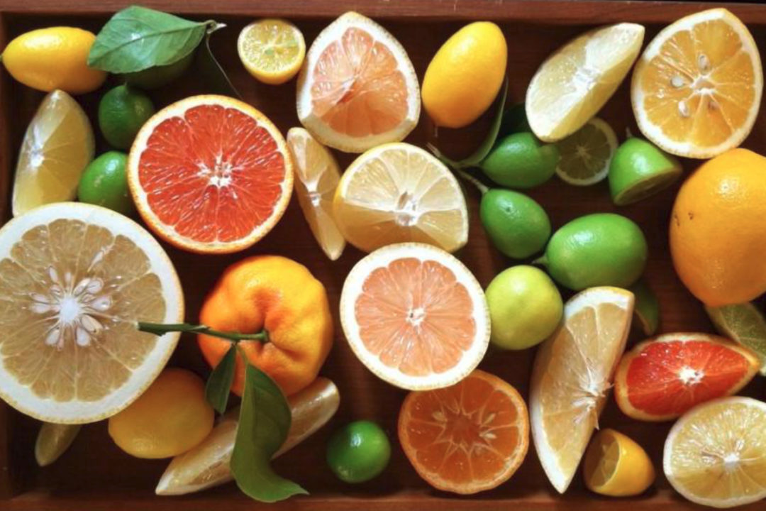 Citrus fruits tray