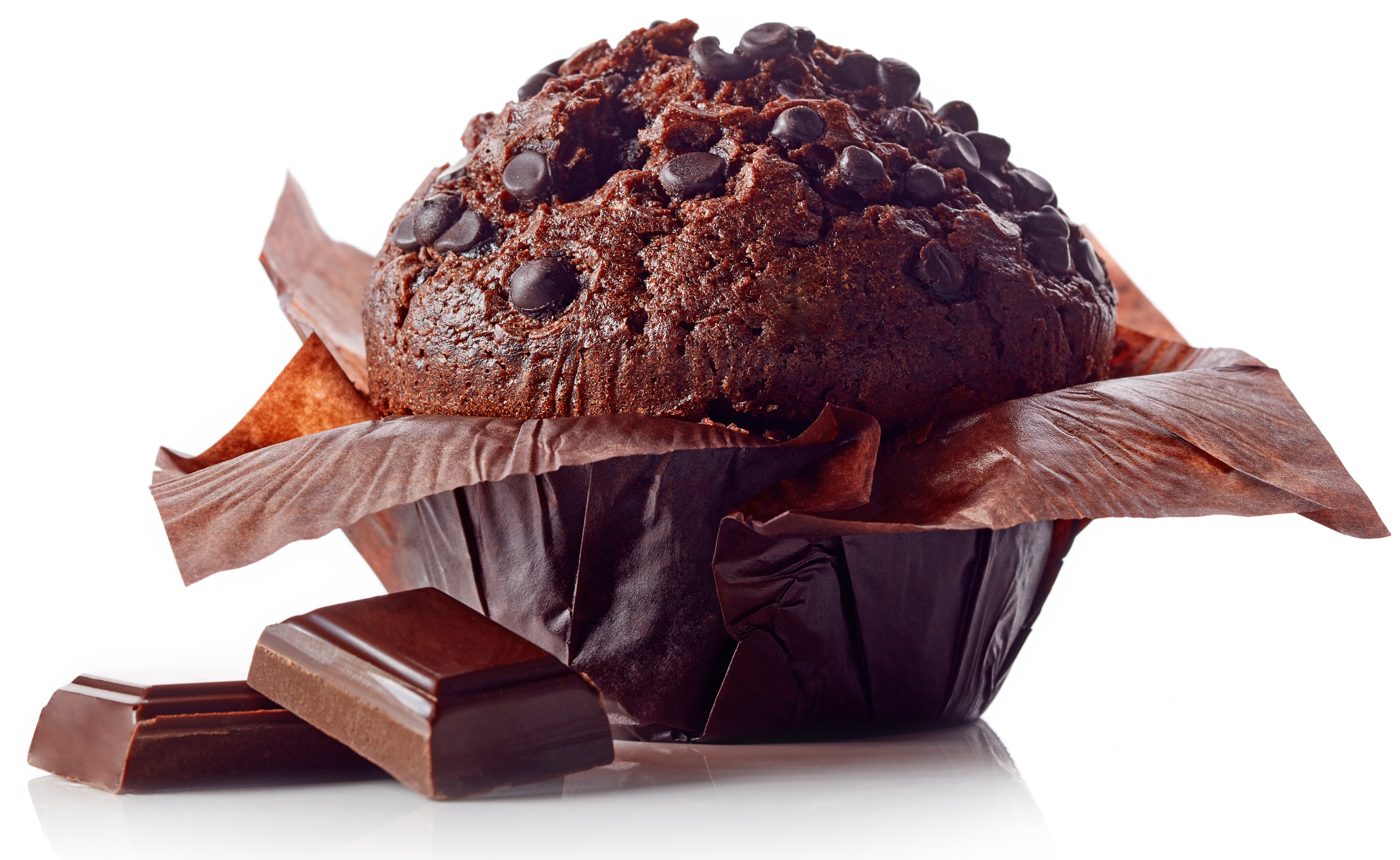 chocolate muffin