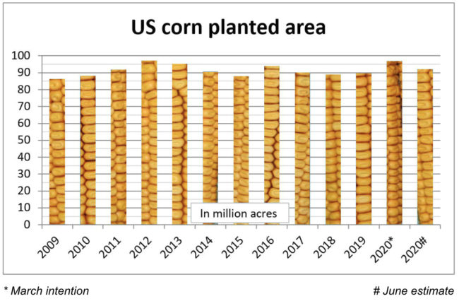 US corn planted area chart