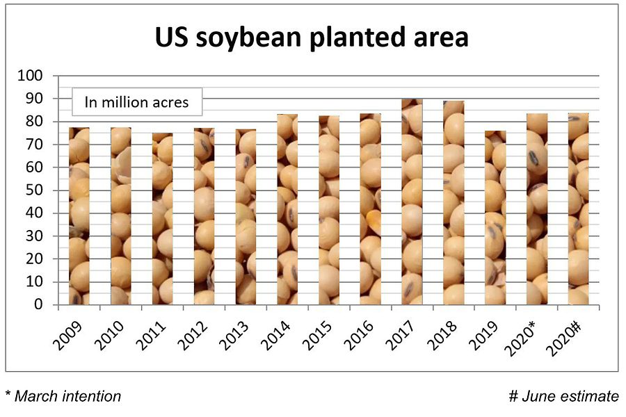 How Many Soybeans In A Unit USDA 2020 corn, wheat, soybean acres below trade expectations | 2020-06