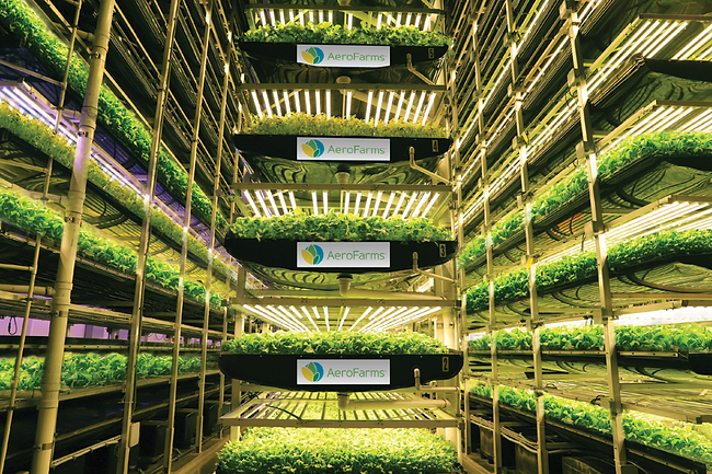 Aero Farms' indoor farm in Newark, New Jersey