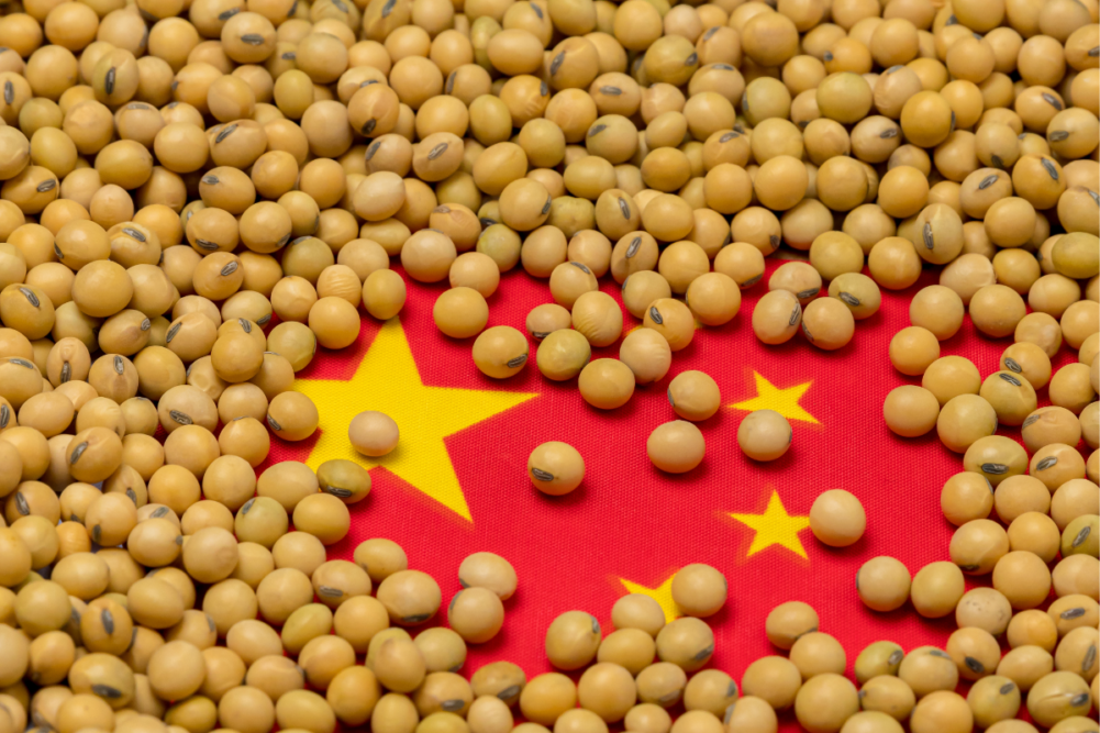 soybeans over Chinese flag