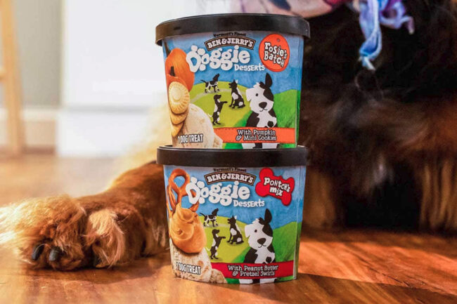 Ben & Jerry's Doggie Desserts