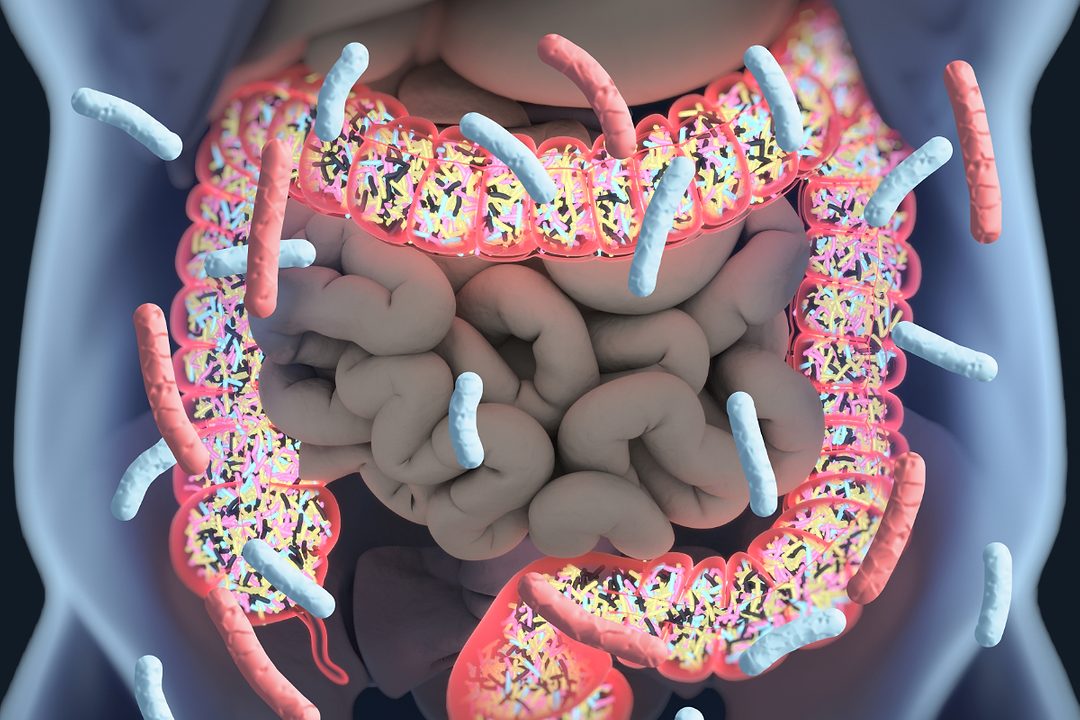 Study links gut microbiome to COVID-19 severity | 2021-01-14 | Food