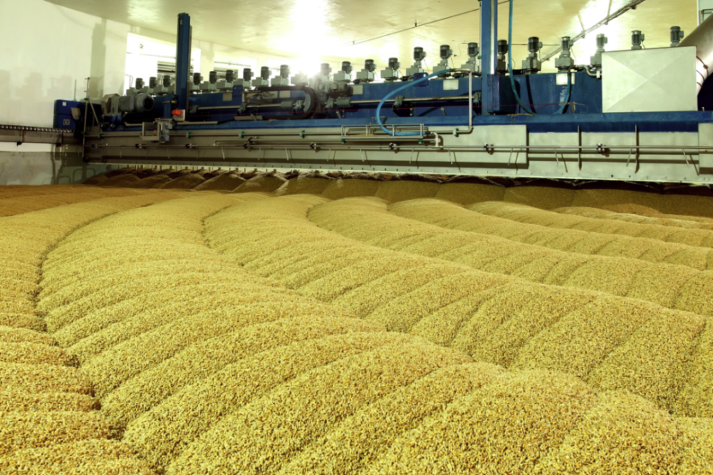 Malt production