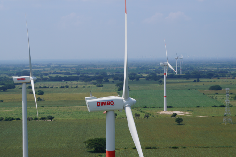 Bimbo wind farm