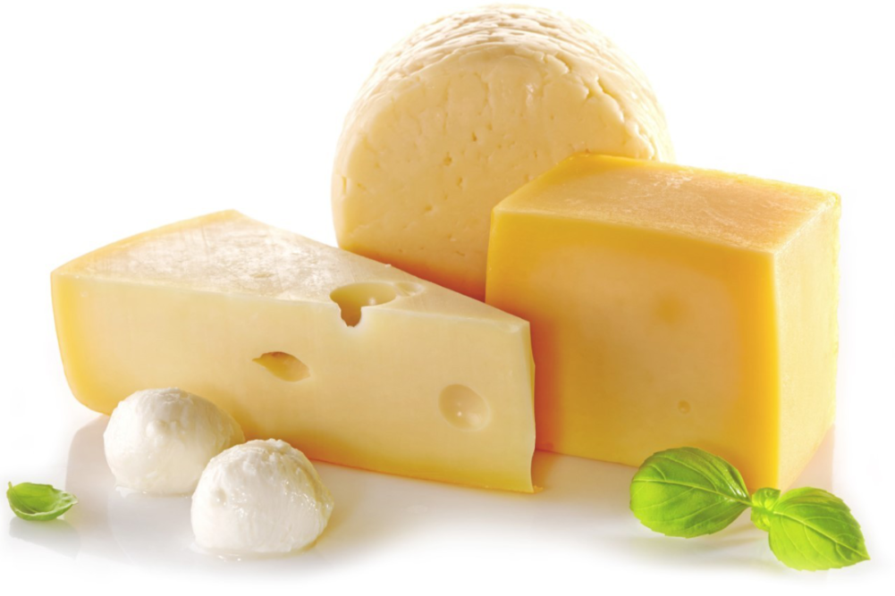 Variety of cheeses on white background