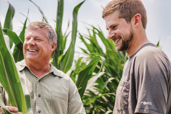 Farmers standing in corn field 