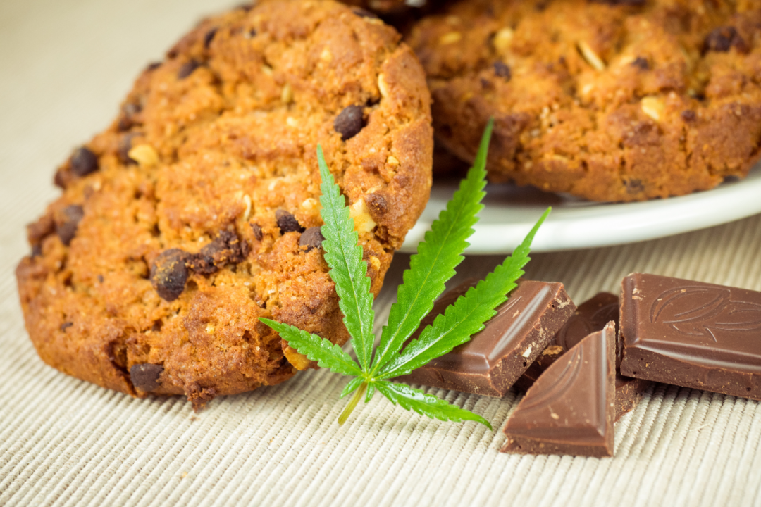 Delicious homemade Chocolate chip Cookies with CBD cannabis and leaf garnish and buds