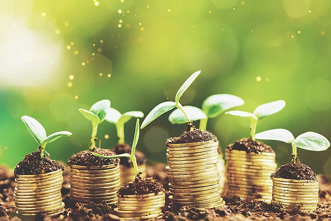Plants and coins