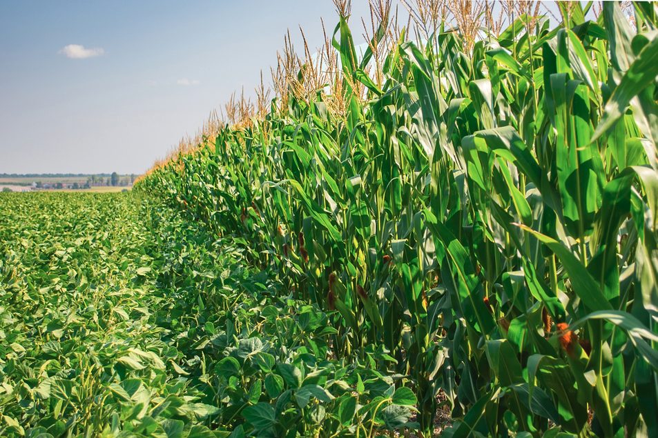 Strong prices and tight supplies to spur increased ...