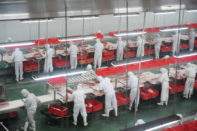 Meat processing plant