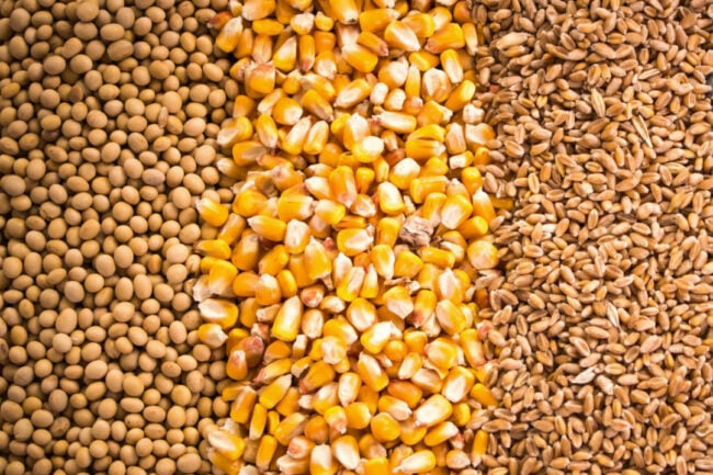 Soybeans, corn and wheat